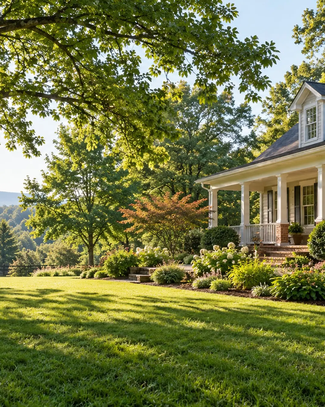 Mature trees surrounding a residential lawn near Earlysville