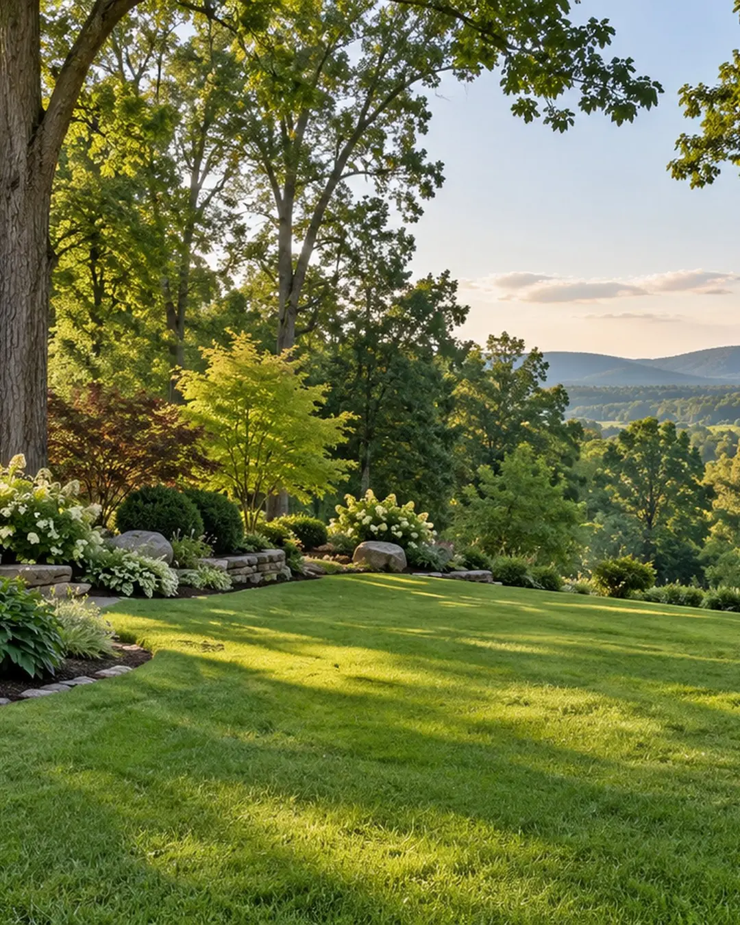 Wooded residential lawn near Ivy west of Charlottesville