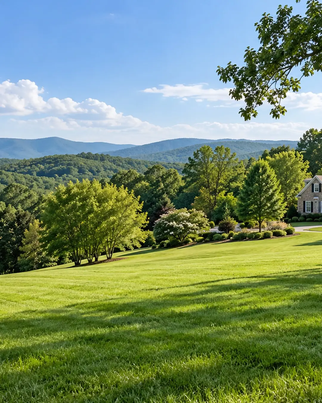 Open residential lawn near North Garden in southern Albemarle County