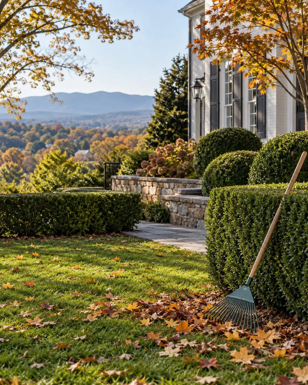 Raked yard and trimmed hedge beside a home